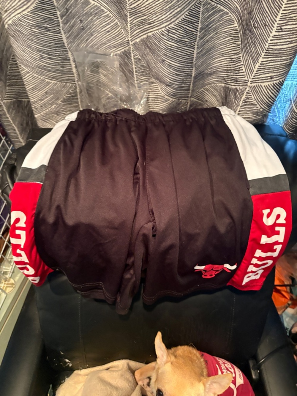 NBA Bulls Black and Red Athletic Shorts with NBA Logo